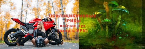 меф Вяземский