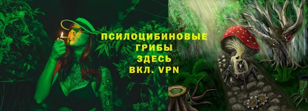 PSILOCYBIN Волосово