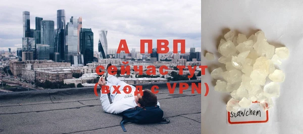 меф Вяземский