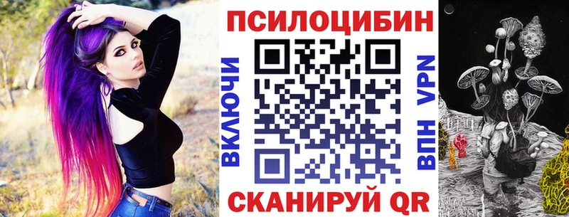 Псилоцибиновые грибы Psilocybe  Купить где  Хвалынск 